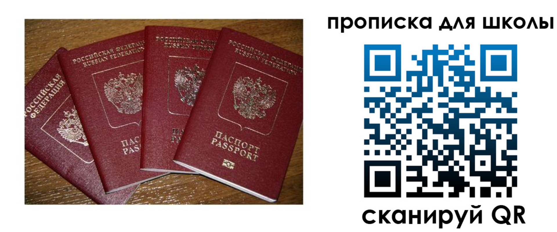 прописка штамп в Лузе